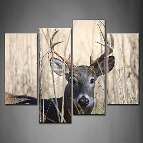 Rustic Deer Decor Diy White Deer Head For Woodland Inspired Decor