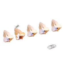 H& D 5 шт. Хрустальная Кленовая люстра с листьями призмы, подвесная подвеска, Радужные капли для украшения дома, свадьбы, 50 мм(Шампань