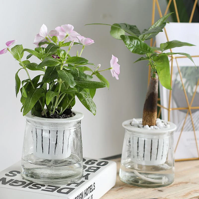 

Double Layers Transparent Glass Flowerpot Planter Pots For Flowers Self Watering Planter Flower Pot Desktop Home Decor