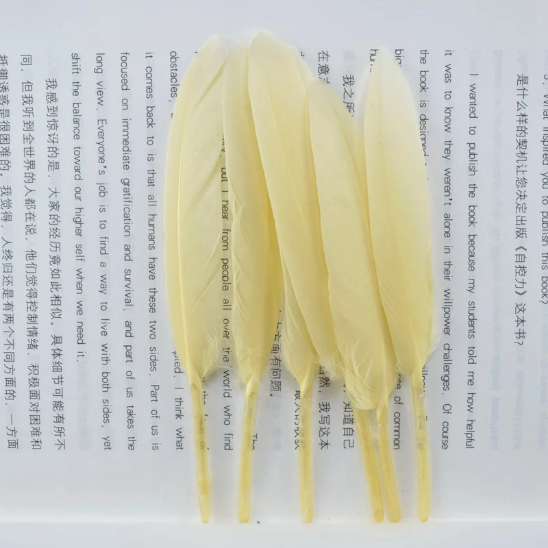 rice yellow Дешевые 100 шт./лот натуральный Гусь упаковка перьев ремесла, на стопу длиной от 10 до 15 см Сделай Сам цветные перья материалы бижутерия для декорирования Шлейфы - Цвет: rice yellow