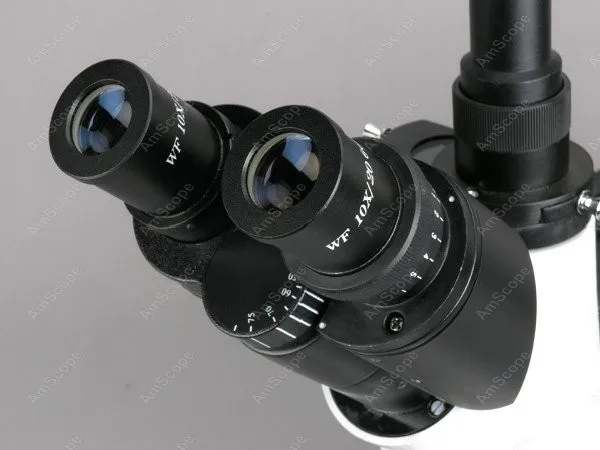 Металлургический перевернутый микроскоп AmScope поставляет 40X 600X супер Widefield