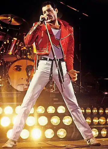freddie mercury tiger shoes