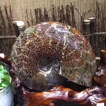 

2700g Natural quartz crystal nautilus conch snail shell fossil home decoration accessories