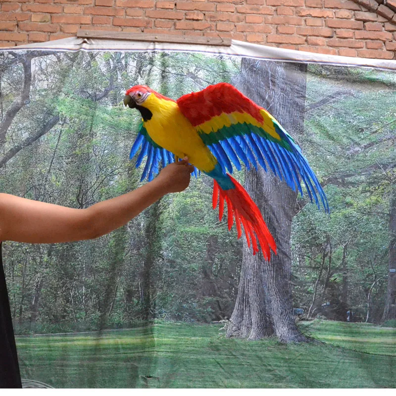 big simulation wings parrot model polyethylene&furs colourful parrot toy gift about 60x80cm