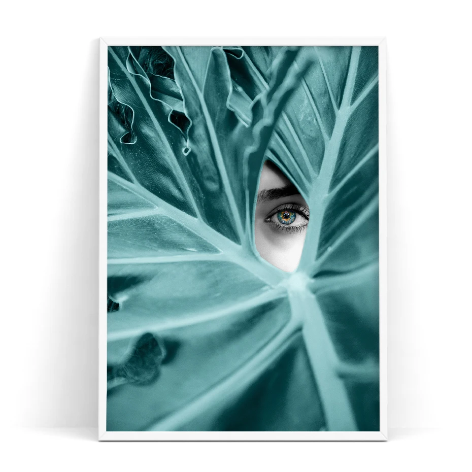 color_opt_3