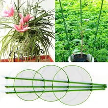 Por Nursery House Plants Lots 45cm Flower Plants Clematis Climbing Rack Bracket House Garden Supplies