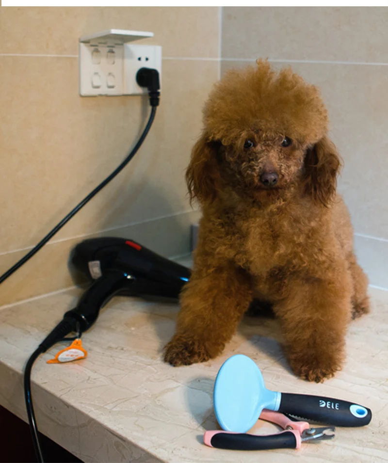 Pet Shower  (6)