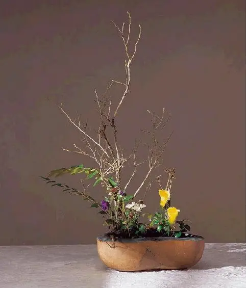 Японский икебана кензан цветок держатель лягушка искусство фиксированные инструменты Цветочная композиция вставка база инструменты ishizaki kenzans pin