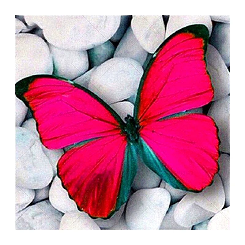 5D DIY full drill diamond Embroidery lucky Butterfly Diamond Painting Cross Stitch Rhinestone Mosaic decoration painting gift