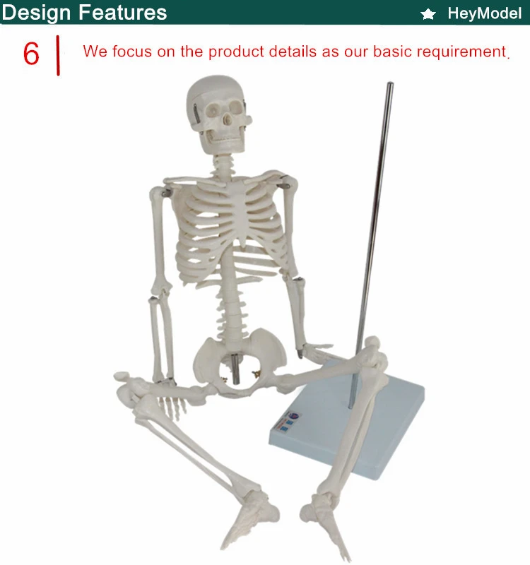6. _