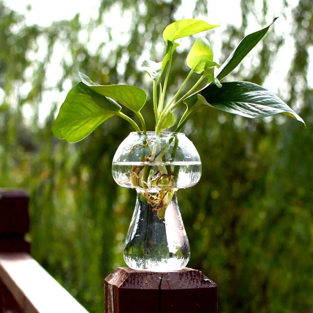 Стеклянная ваза в форме гриба стеклянная Террариум Бутылка Контейнер Декор современный стиль