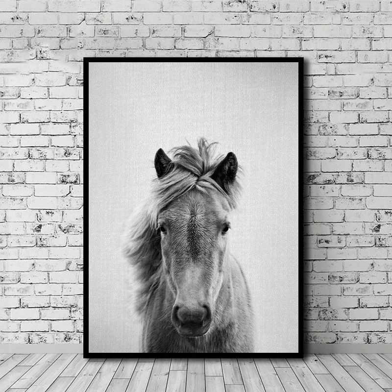 Альпака Коза Жираф лошадь постеры с животными Печать холст домашний Декор стены без рамки - Цвет: 9
