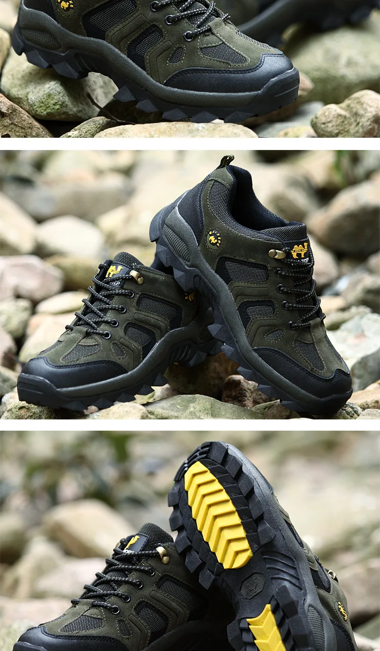 885513404_1604822981