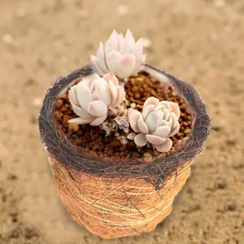 

2019 NEW Coir Succulent Basket Flower Pots Coco Coir Liner Flower Basket for Garden Porch Decoration Garden Suppieses