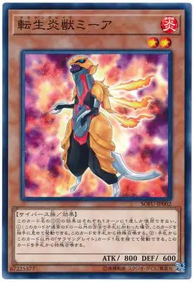 Yu Gi Oh N Pingka Знаковый рыцарь меча Yu Lei Long-Lei Long 1006 японская классическая Карта коллекции - Цвет: Армейский зеленый