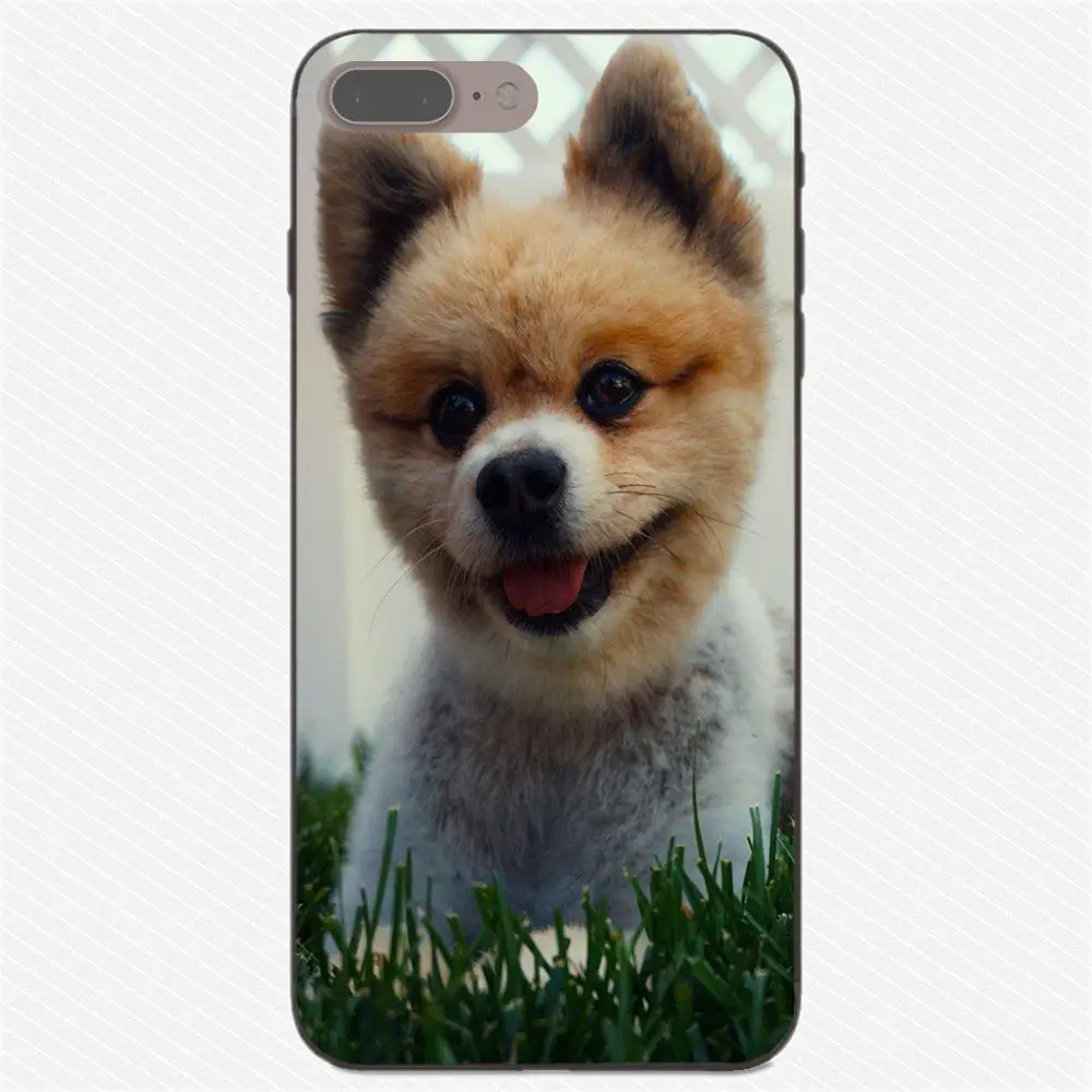 Pomeranian Puppy Dog ультратонкий для Galaxy C5 C7 J1 J2 J3 J330 J5 J6 J7 J730 2017 Ace Core Duo Max Mini Plus Prime