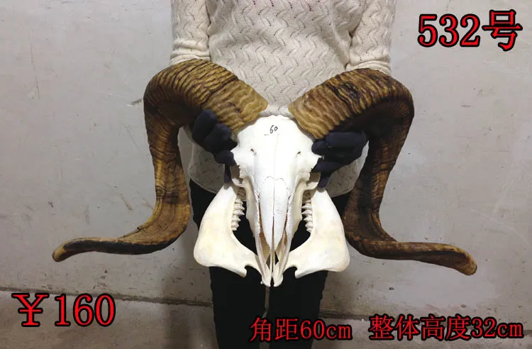 角距