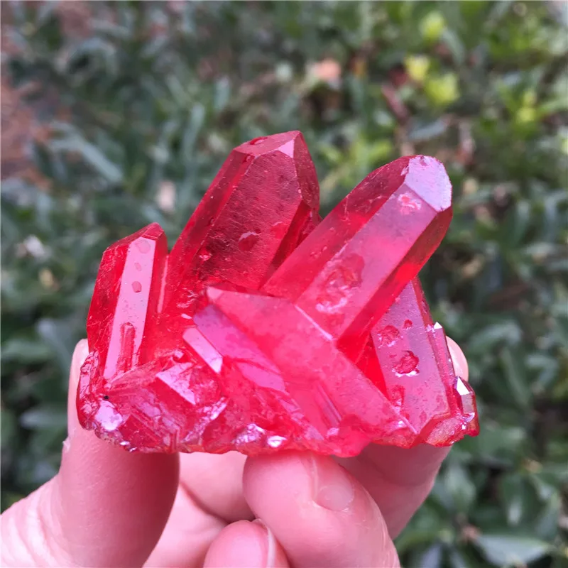 06 (6)