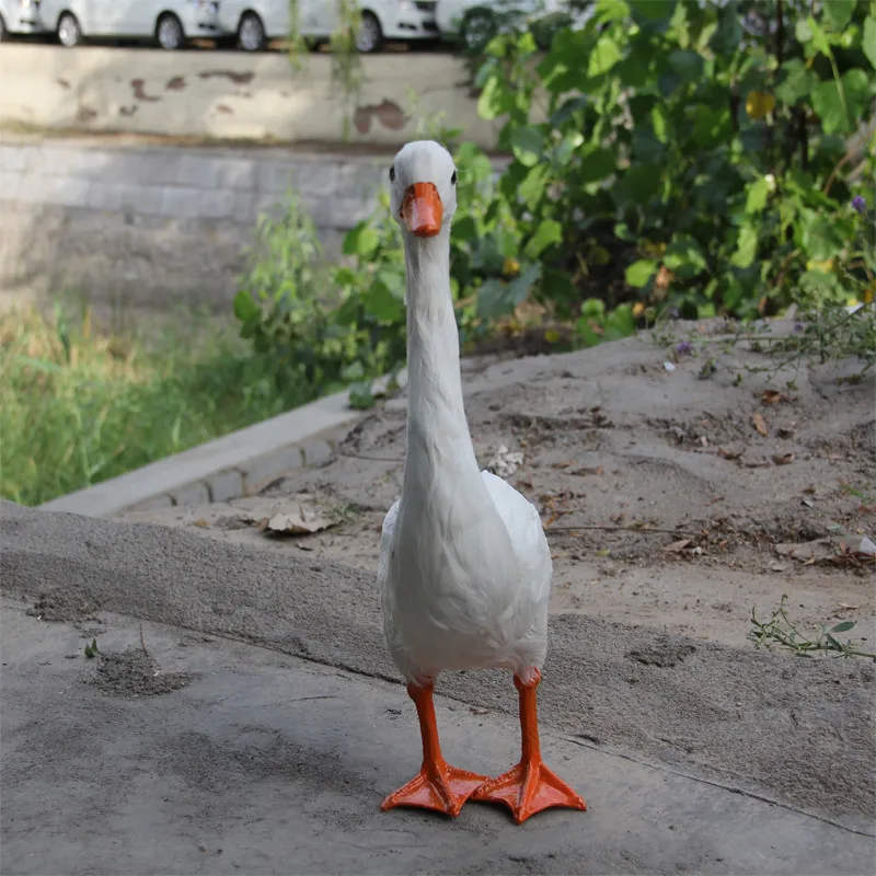 _