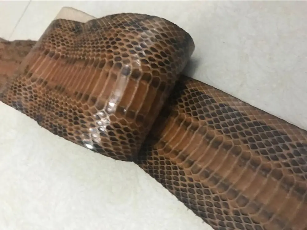 WS041 натуральная коричневая змеиная кожа