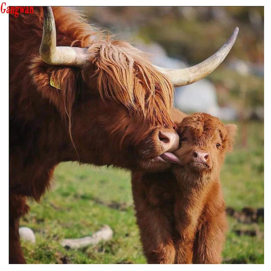 5D cross stitch full square round drill diy diamond painting highland cow family picture of rhinestone embroidery diamond mosaic painting