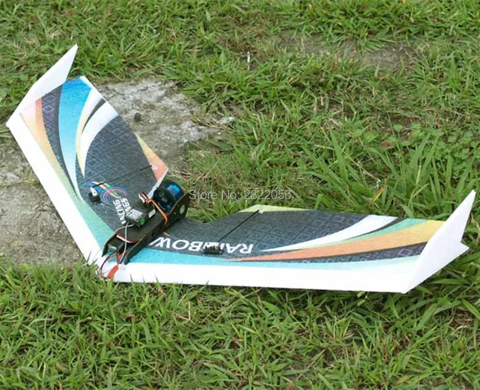 Rainbow Fly wing-1 (3)_