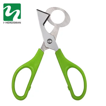 

5 PCS Pigeon Quail Egg Scissor Bird Cutter Opener Kitchen Tool Clipper Kitchen Tool Clipper