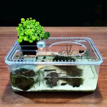 HONGYI 1 pezzo di plastica trasparente insetto rettile allevamento scatola di alimentazione di grande capacità acquario habitat vasca serbatoio tartaruga piattaforma