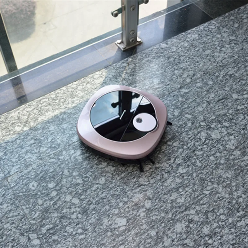 

Sweeping Robot Intelligent Robot Household Smart Automatic Efficient Vacuum Cleaner APP Control