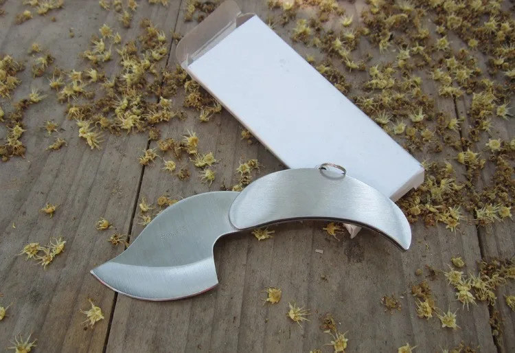 2068838179_742635196