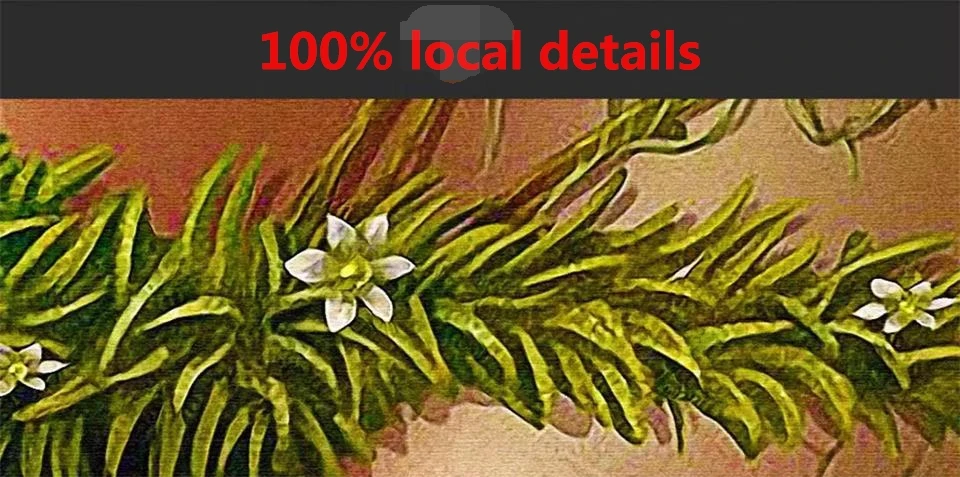 36020171231234559639