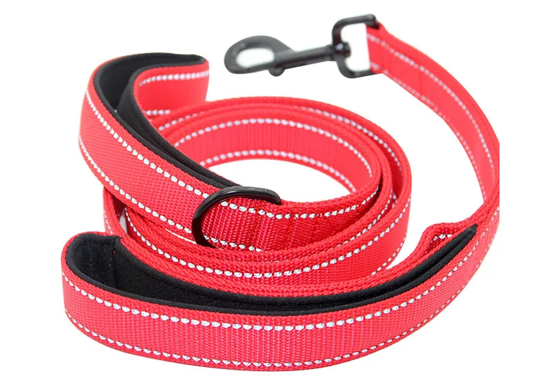 nylong dog leash