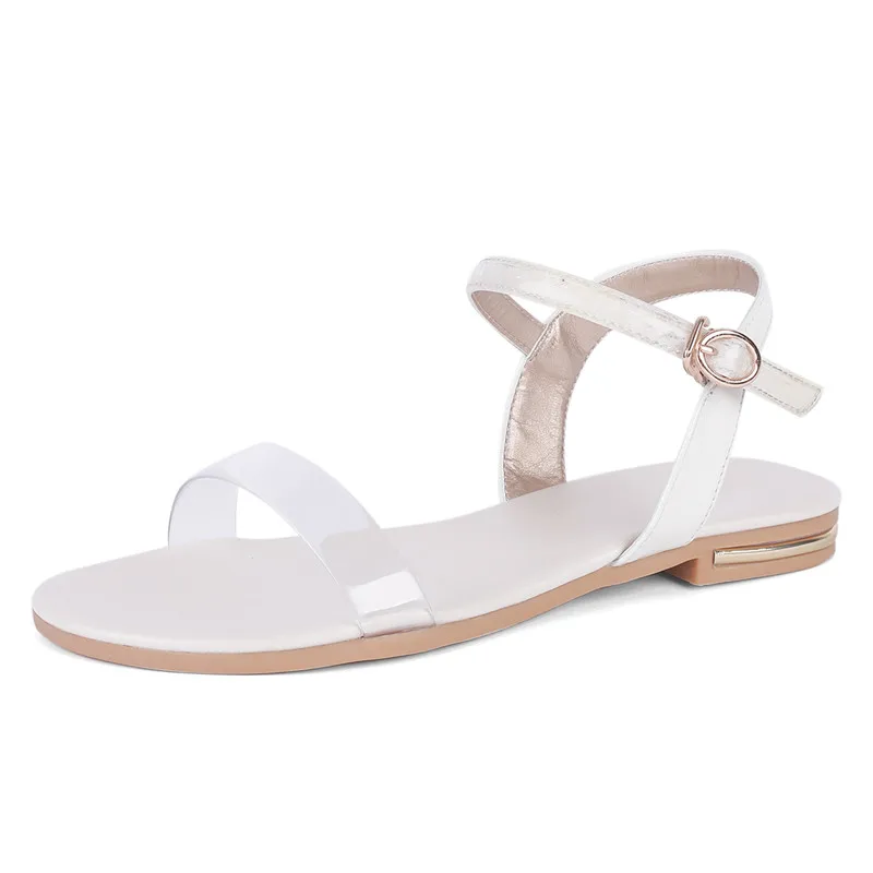 HEMA6514_