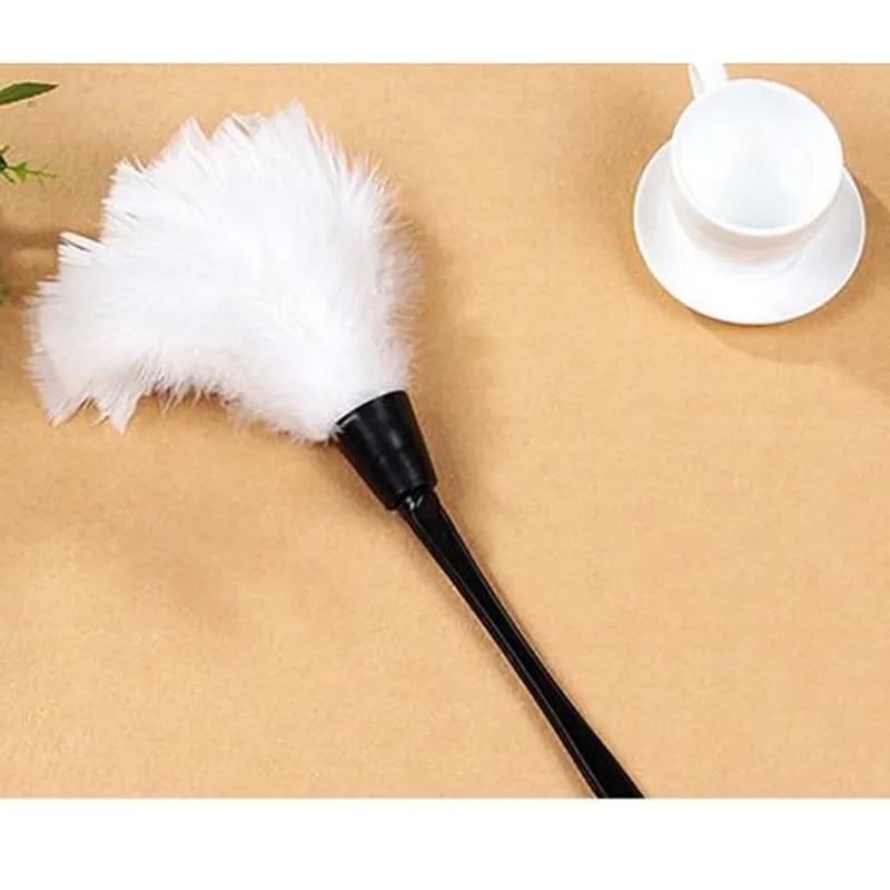 feather brush