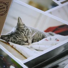 28 шт./лот старинные милые открытки с кошками группа прекрасный кот серия Новогодняя открытка подарок