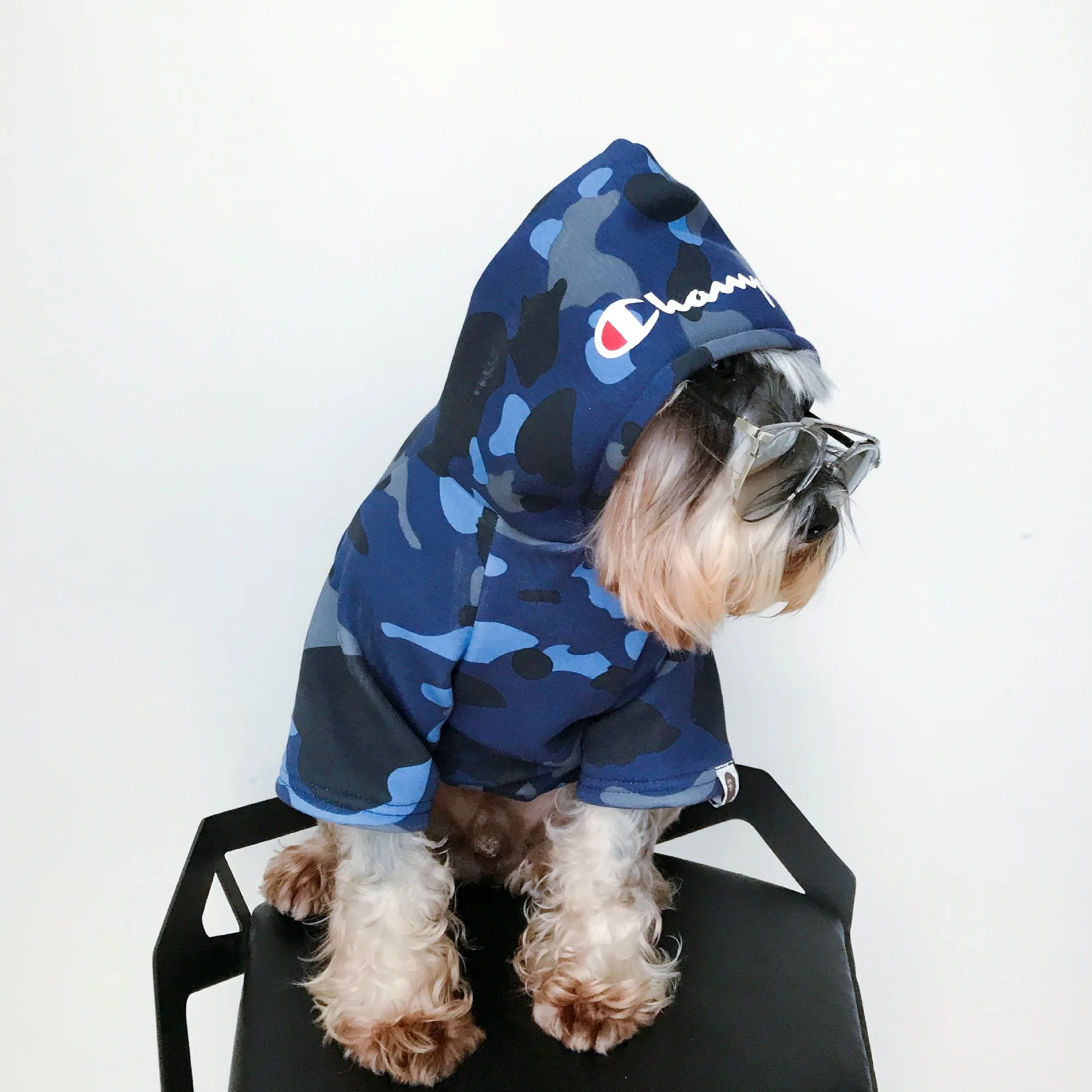 dog champion hoodie