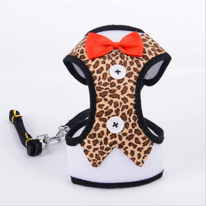 leash for dog (21)