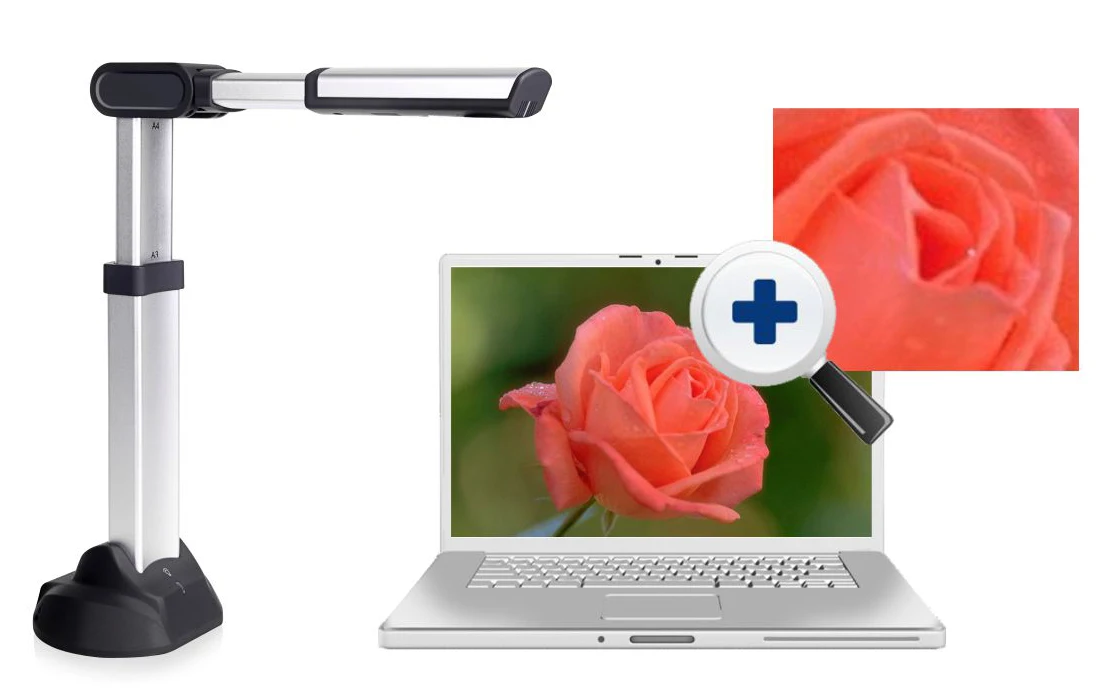 Segmentation and recombination