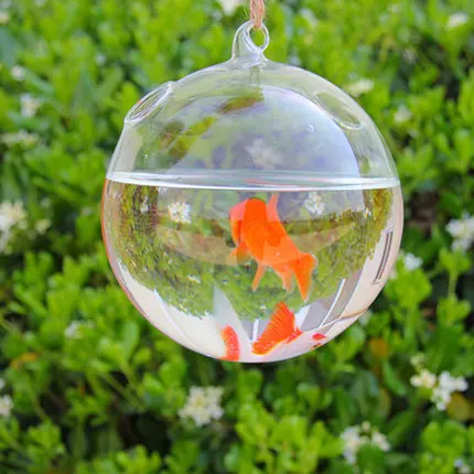 O. roseli ручной работы, элегантные ясно Стекло Круглый с 2 отверстия цветок РП висит ваза гидропоники контейнер Домашний Декор