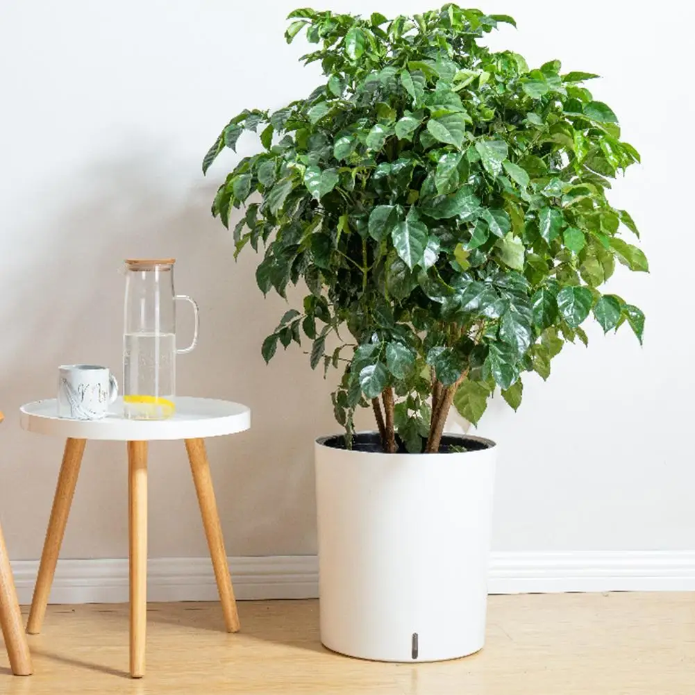 Flower-Holder Gardening-Supplies Succulent-Plants-Pot Wall-Hanging Innovative Plastic Flower-Holder Gardening-Supplies Succulent-Plants-Pot Wall-Hanging Innovative Plastic