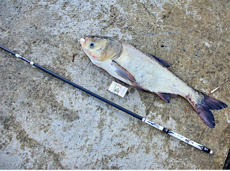 Vara de Pesca Vara de Pesca da Carpa Artes de Pesca Taiwan Carpa - 19 28 Tonalty 6 Super Difícil Mão Olta Preto Pit Peche Canne Pesca 3.6 M-7.2 m da 8 h 22 Esporte e Lazer