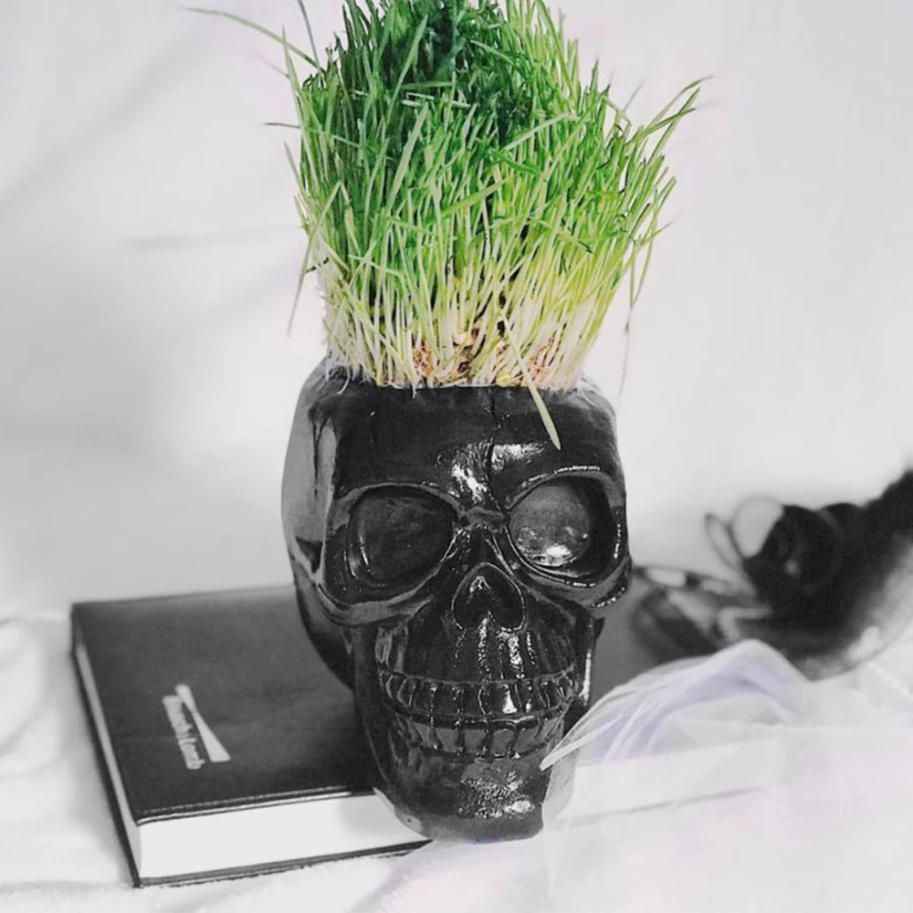skull