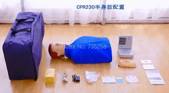 ISO Bust CPR Model,CPR Model,Computer Control CPR Practice Model,CPR Training Dummies