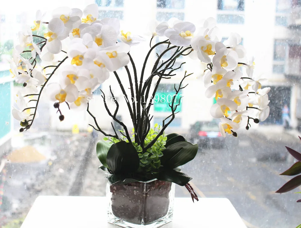 

mini hand feel orchids real touch flower with leaves artificial orchids arrangement DIY arrange flower no vase