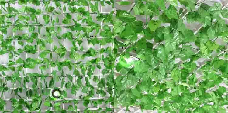 10389169060_1221198793