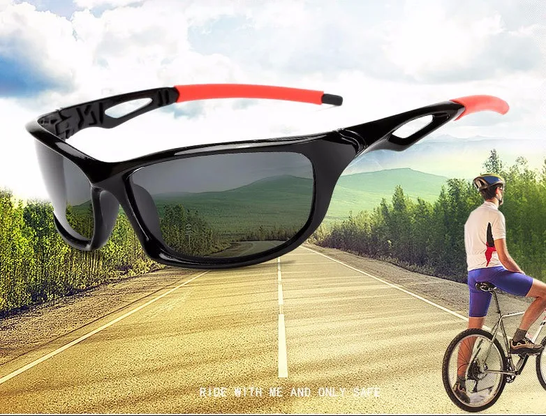 3774500638_1360999611