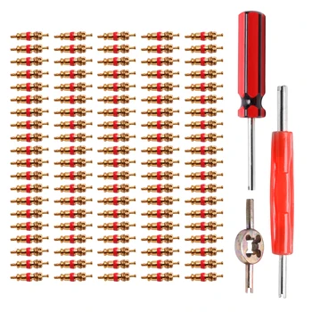 

2018 New Sales value Cheap 100pcs schrader valve cores with Single and Dua Head Valve Core Remover Tire Repair Tool Set