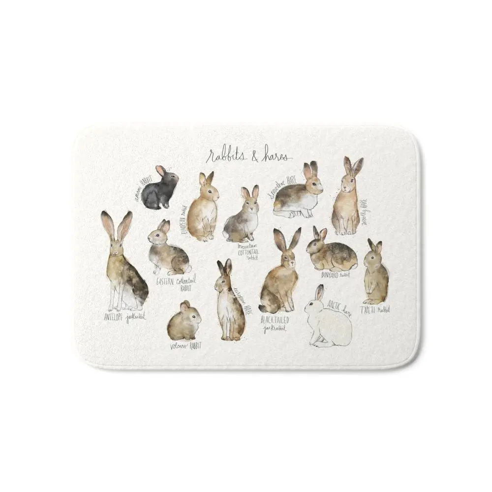 

Rabbits & Hares Bath Mat Water Absorption Carpets Living Room Dust Proof Mats Home Decor