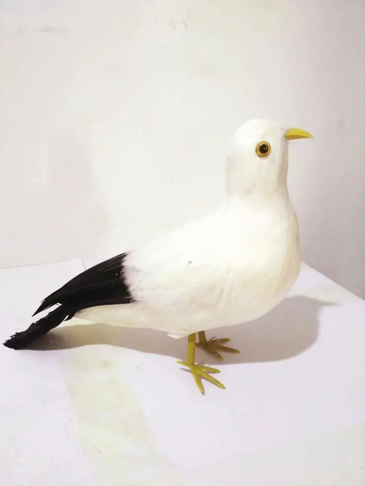 26