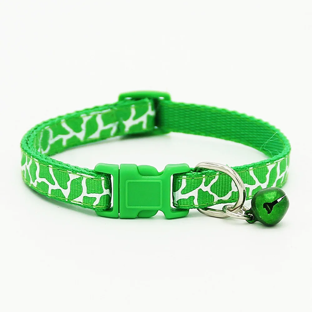 3237274093_1295703088